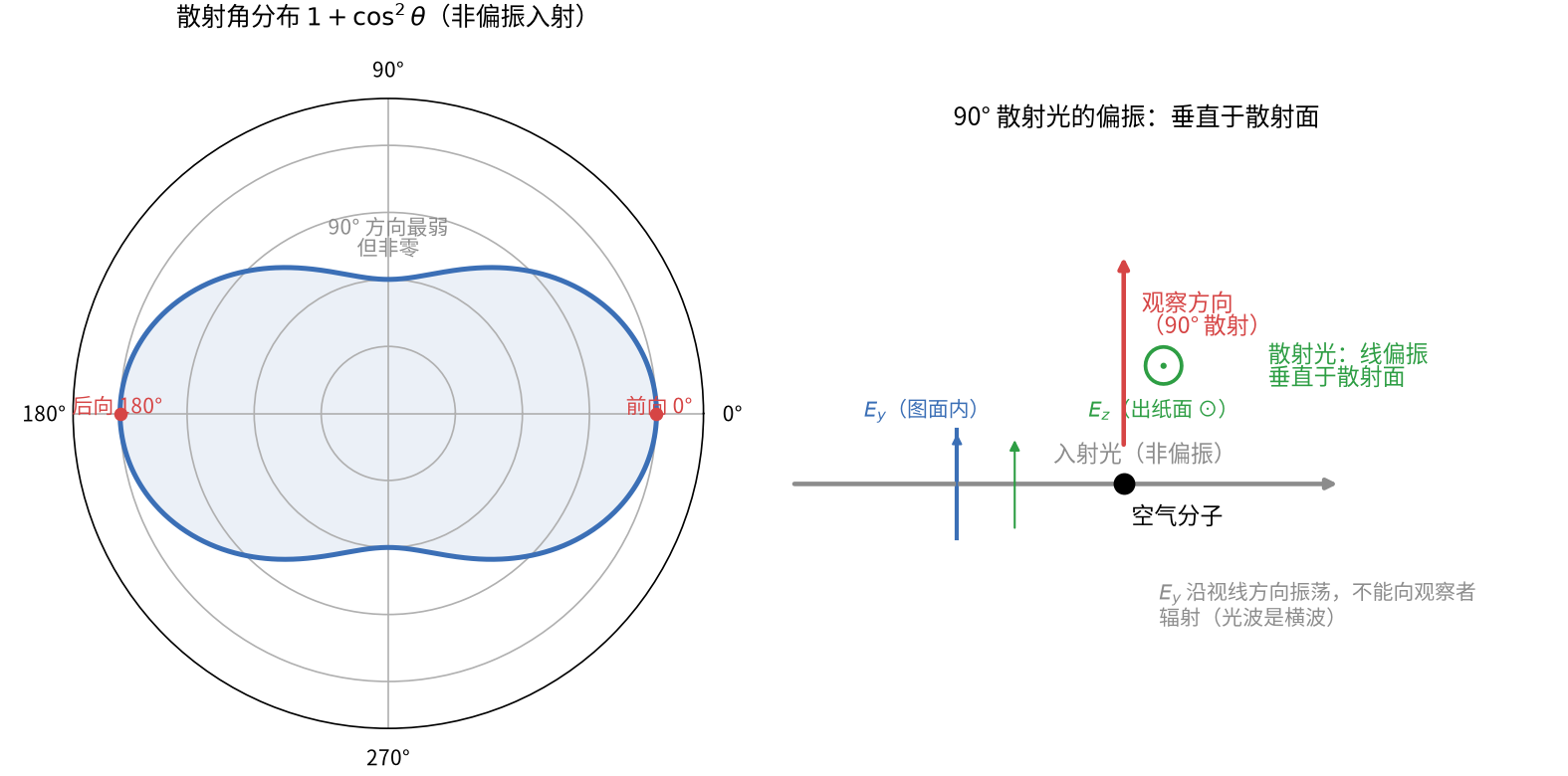 图4 散射角分布与散射光偏振